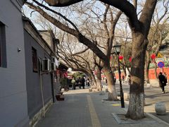 -北京国子监胡同