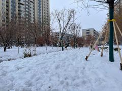 -顺峰海鲜酒楼(省府店)