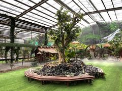 -呀路古热带植物园