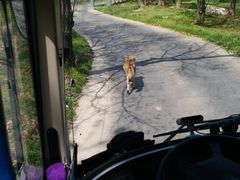 -西安秦岭野生动物园