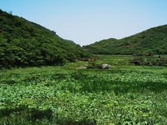 -大围山国家森林公园