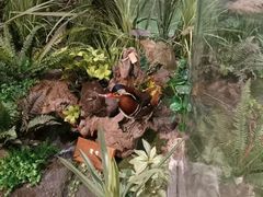 -陕西自然博物馆