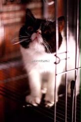 针武堂刺青纹身工作室-针武堂刺青