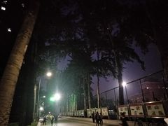 -中央民族大学