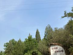 -白水寺森林公园