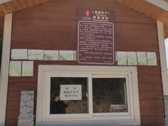-铜川市金锁关石林