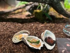 -曲廊院(东四十一条店)