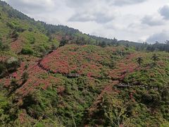 -木兰云雾山