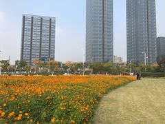 -映月湖中央公园