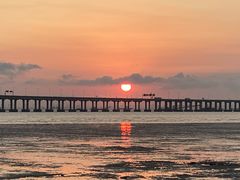 -宝安西湾红树林湿地公园