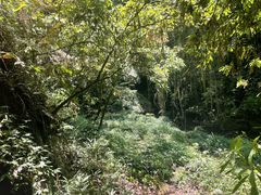 -碧峰峡风景区