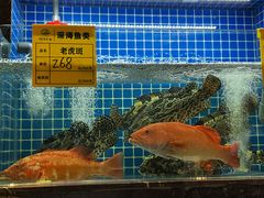 -虾佬圣汤·海鲜姿造(乐堤港店)