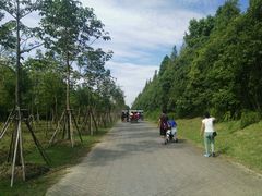 -上海海湾国家森林公园