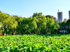-堤角公园