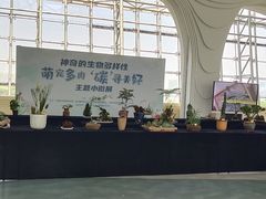 -中国杭州低碳科技馆