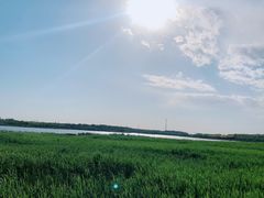 -西青郊野公园