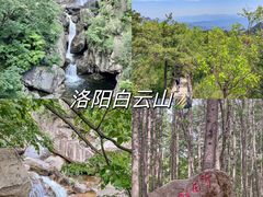 -洛阳白云山景区