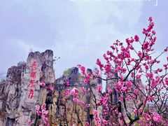 -秀丽东方