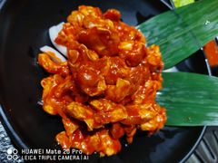 -九田家黑牛烤肉料理(太奥广场店)