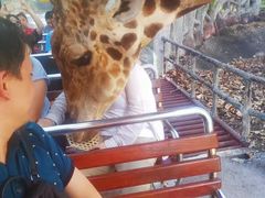 -清迈夜间动物园