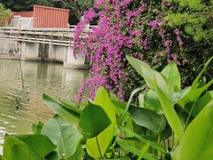 -海珠湖公园