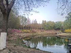 -大兴滨河森林公园