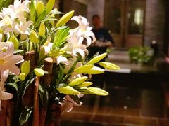 -梧桐餐厅(泉城路店)