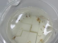 -清真马记宫廷奶酪(农光里店)