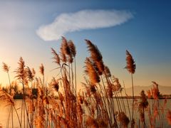 -野鸭湖国家湿地公园