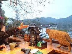 -马灯部落·西湖边的创意山景餐厅(虎跑动物园店)