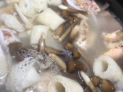 -探窝·竹笙椰子鸡(杨箕店)