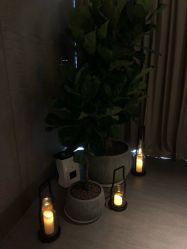 -VELEE·SPA高定疗愈会所