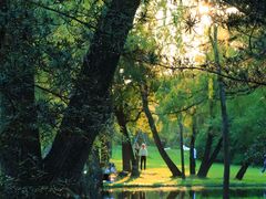 -上海共青森林公园