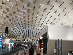 -陈鹏鹏潮汕菜(宝安机场T3航站楼店)