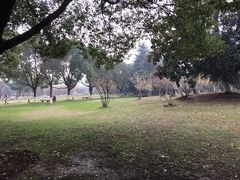 -中央公园(苏州工业园区)