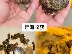 -三亚太阳湾柏悦酒店