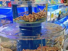 -新海渔港·胶东海鲜家常菜·家宴(奥体中心店)