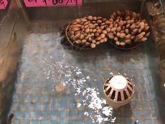 -淇沙湾渔村餐厅
