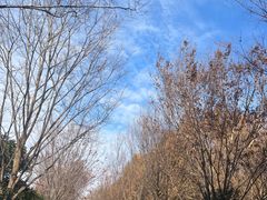 -广富林郊野公园
