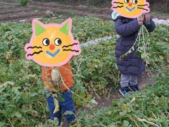 -前小桔亲子创意农场·草莓采摘·露营烧烤