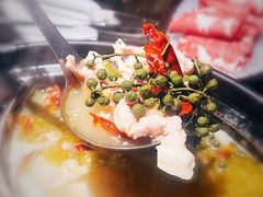 胡椒猪肚鸡&藤椒酸菜无骨鸡-捞王锅物料理(凯旋路店)