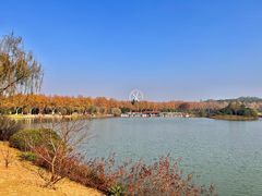 -宜兴龙背山森林公园