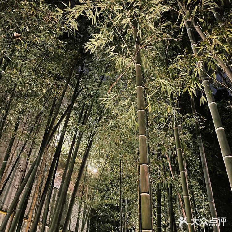 ❣️网红店平均寿命3年[强]而穹六人间已红了20年