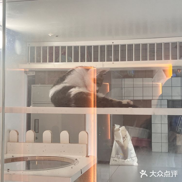 理工大学附近超棒的社区咖啡☕️