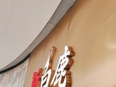 -新白鹿餐厅(虹桥南丰城店)