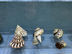 -浙江自然博物院(杭州馆)