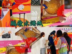 -鹏欣水游城