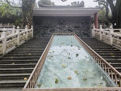 -鼎湖山风景区