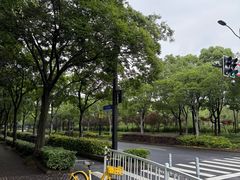 -新江湾城公园