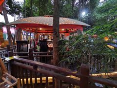 -二荆条·蜀鲜汇城市森林火锅